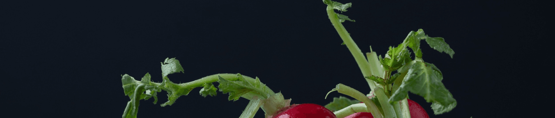 Apple Background
